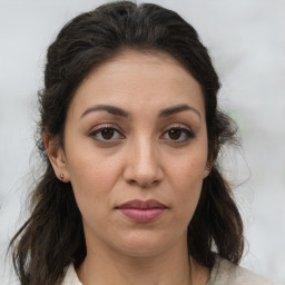 Tóth Éva